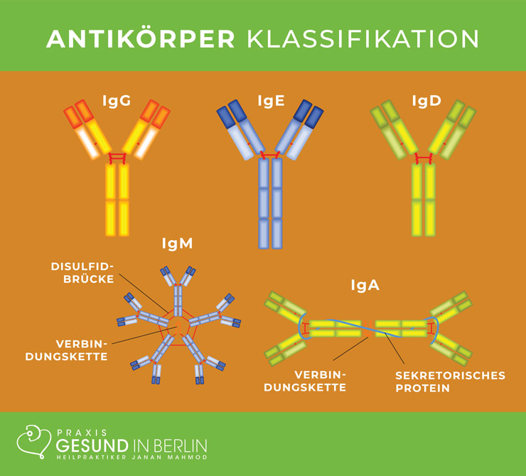 Allergien – Niesen