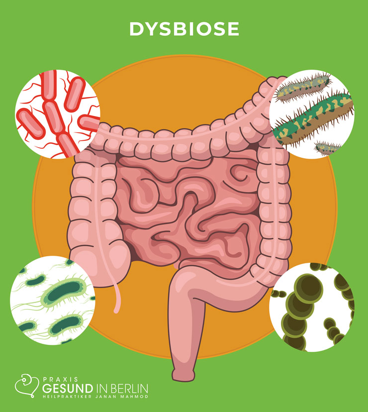 Dysbiose – Missverhältnis von nützlichen zu schadhaften Bakterien Dysbiose – Missverhältnis von nützlichen zu schadhaften Bakterien