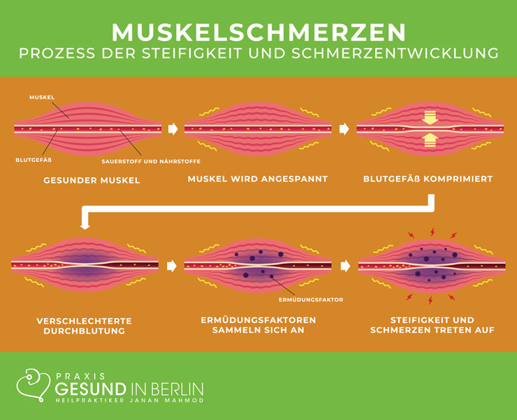 Muskelschmerzen Naturheilpraxis Gesund in Berlin